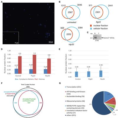 LC–MS Based Draft Map of the Arabidopsis thaliana Nuclear Proteome and Protein Import in Pattern Triggered Immunity